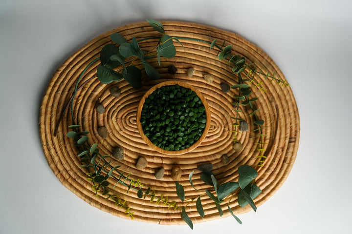 What is Chlorella's History?
