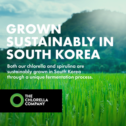 Fermented Chlorella & Spirulina Tablets