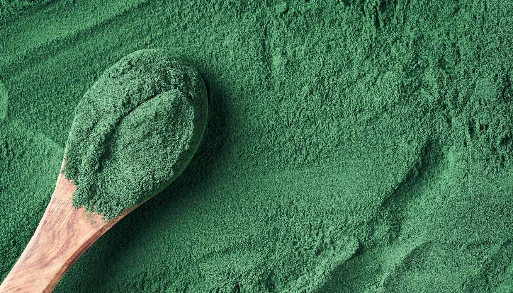 Wooden spoon filled with green chlorella powder on a pile of green textured powder